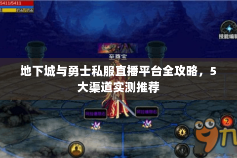 地下城与勇士私服直播平台全攻略，5大渠道实测推荐