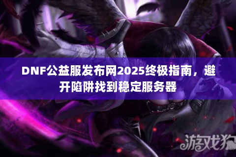 DNF公益服发布网2025终极指南，避开陷阱找到稳定服务器