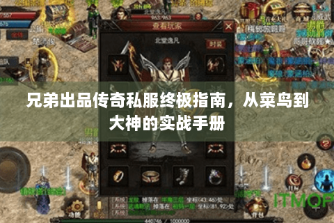 兄弟出品传奇私服终极指南，从菜鸟到大神的实战手册