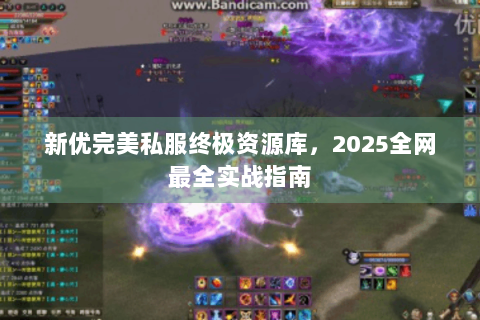 新优完美私服终极资源库，2025全网最全实战指南