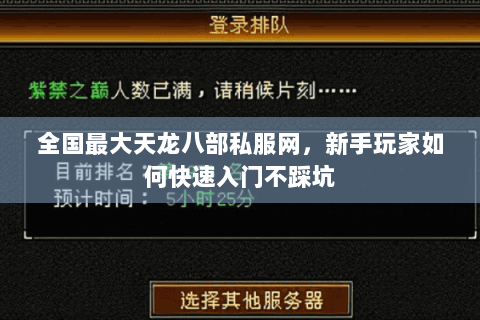 全国最大天龙八部私服网，新手玩家如何快速入门不踩坑