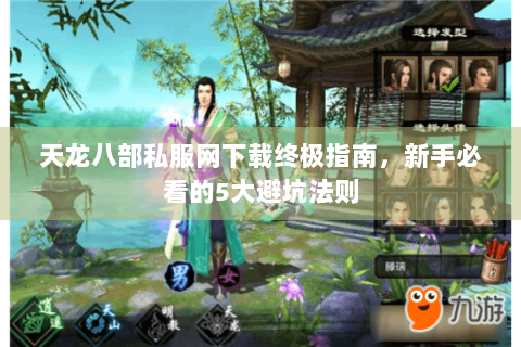 天龙八部私服网下载终极指南，新手必看的5大避坑法则