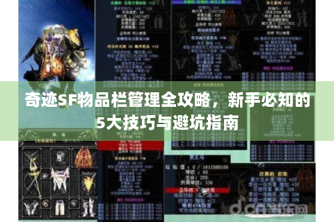 奇迹SF物品栏管理全攻略，新手必知的5大技巧与避坑指南