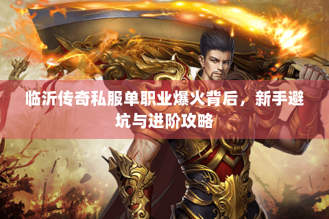 临沂传奇私服单职业爆火背后，新手避坑与进阶攻略