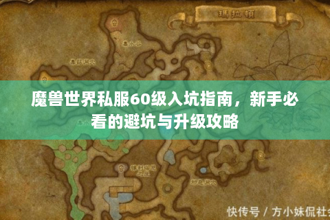 魔兽世界私服60级入坑指南，新手必看的避坑与升级攻略