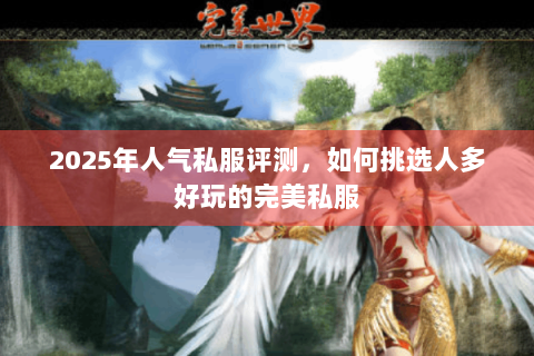 2025年人气私服评测，如何挑选人多好玩的完美私服
