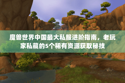 魔兽世界中国最大私服进阶指南，老玩家私藏的5个稀有资源获取秘技