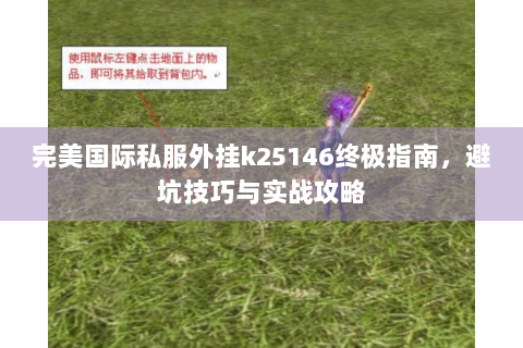 完美国际私服外挂k25146终极指南，避坑技巧与实战攻略