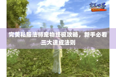完美私服法师宠物终极攻略，新手必看三大速成法则