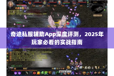 奇迹私服辅助App深度评测，2025年玩家必看的实战指南
