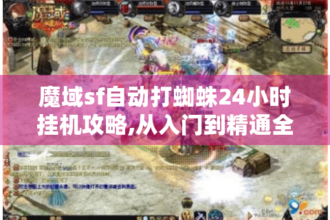 魔域sf自动打蜘蛛24小时挂机攻略,从入门到精通全解析
