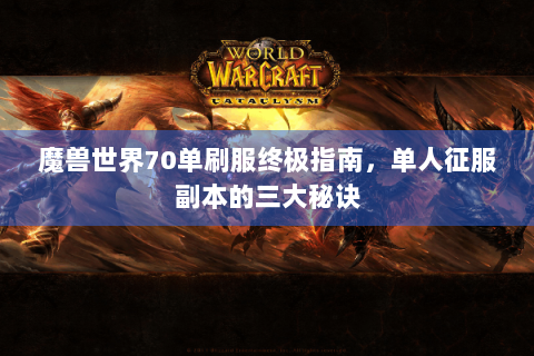 魔兽世界70单刷服终极指南，单人征服副本的三大秘诀