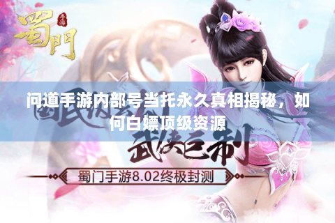 问道手游内部号当托永久真相揭秘，如何白嫖顶级资源