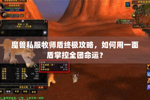 魔兽私服牧师盾终极攻略，如何用一面盾掌控全团命运？