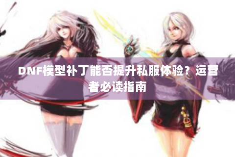 DNF模型补丁能否提升私服体验？运营者必读指南