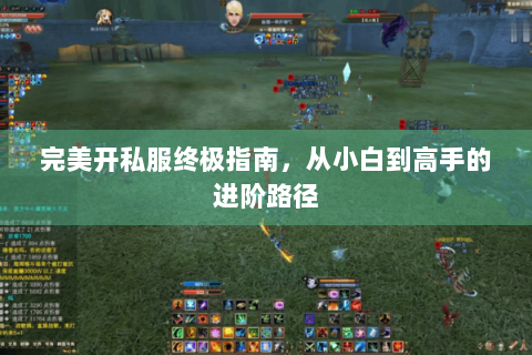 完美开私服终极指南，从小白到高手的进阶路径