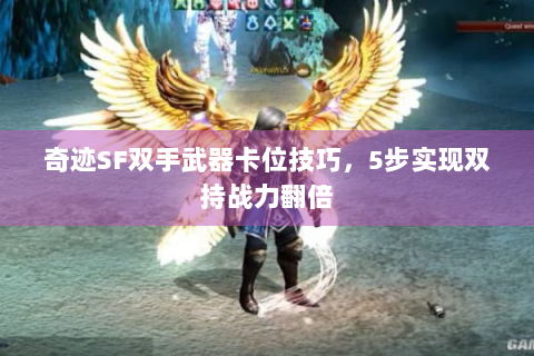 奇迹SF双手武器卡位技巧，5步实现双持战力翻倍