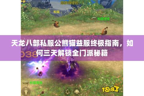天龙八部私服公熊猫益服终极指南，如何三天解锁全门派秘籍