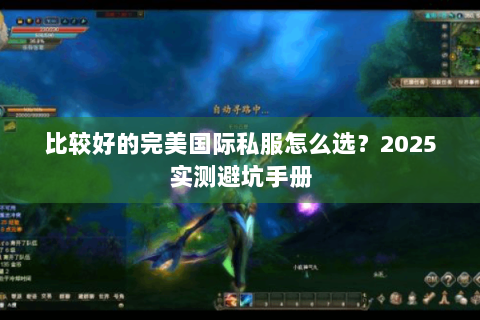 比较好的完美国际私服怎么选？2025实测避坑手册