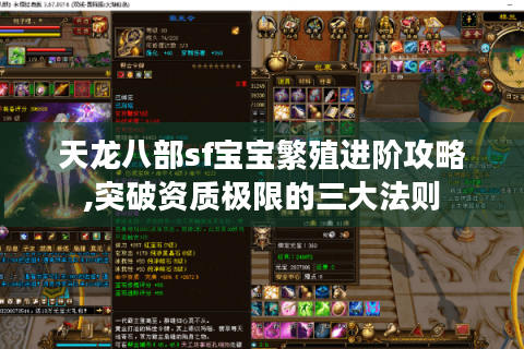 天龙八部sf宝宝繁殖进阶攻略,突破资质极限的三大法则