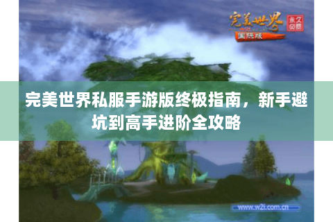 完美世界私服手游版终极指南，新手避坑到高手进阶全攻略