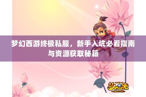 梦幻西游终极私服，新手入坑必看指南与资源获取秘籍