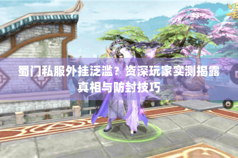 蜀门私服外挂泛滥？资深玩家实测揭露真相与防封技巧