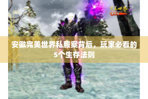 安徽完美世界私服案背后，玩家必看的5个生存法则