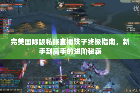 完美国际版私服直播饺子终极指南，新手到高手的进阶秘籍