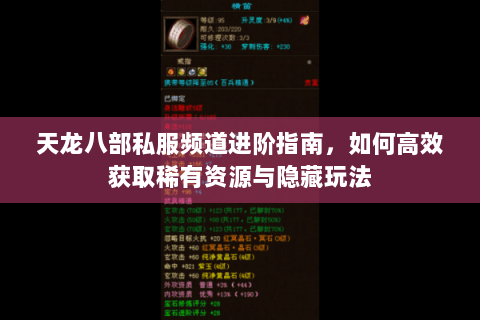 天龙八部私服频道进阶指南，如何高效获取稀有资源与隐藏玩法