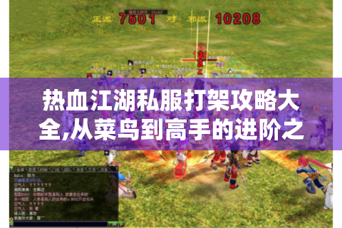 热血江湖私服打架攻略大全,从菜鸟到高手的进阶之路
