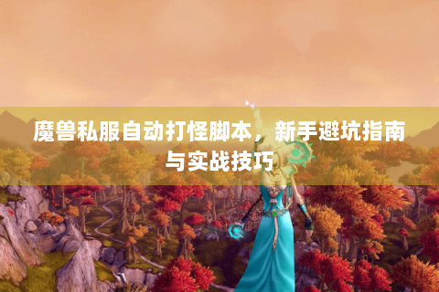 魔兽私服自动打怪脚本，新手避坑指南与实战技巧