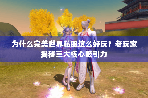 为什么完美世界私服这么好玩？老玩家揭秘三大核心吸引力