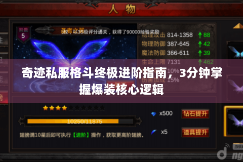 奇迹私服格斗终极进阶指南，3分钟掌握爆装核心逻辑