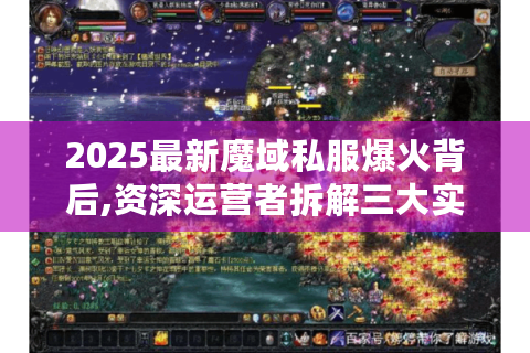 2025最新魔域私服爆火背后,资深运营者拆解三大实战困局