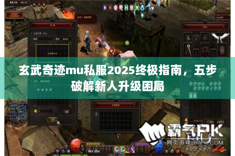 玄武奇迹mu私服2025终极指南，五步破解新人升级困局