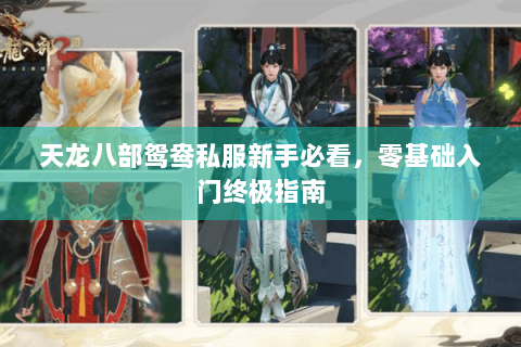 天龙八部鸳鸯私服新手必看，零基础入门终极指南