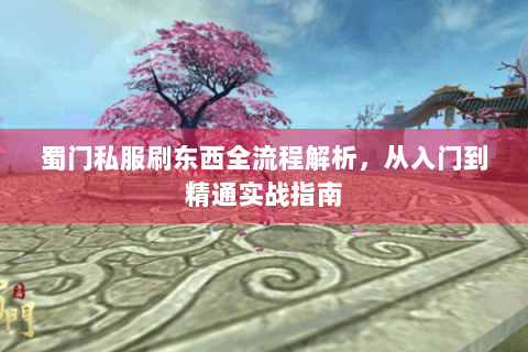 蜀门私服刷东西全流程解析，从入门到精通实战指南