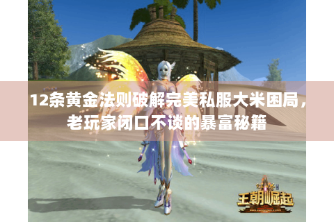 12条黄金法则破解完美私服大米困局，老玩家闭口不谈的暴富秘籍