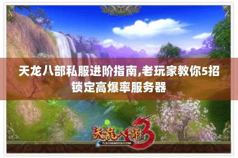 天龙八部私服进阶指南,老玩家教你5招锁定高爆率服务器