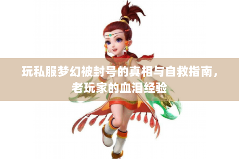 玩私服梦幻被封号的真相与自救指南，老玩家的血泪经验