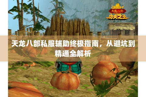 天龙八部私服辅助终极指南，从避坑到精通全解析
