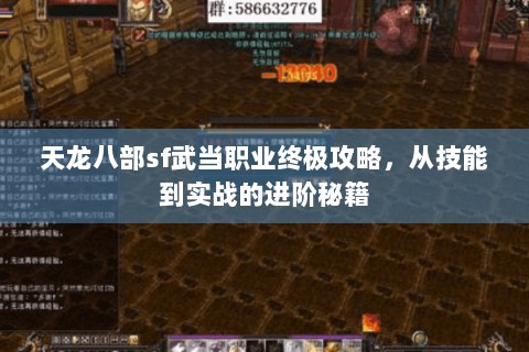 天龙八部sf武当职业终极攻略，从技能到实战的进阶秘籍