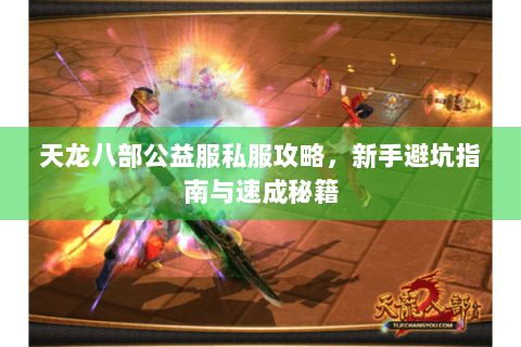 天龙八部公益服私服攻略，新手避坑指南与速成秘籍