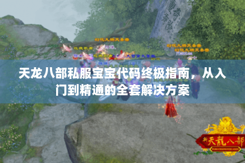 天龙八部私服宝宝代码终极指南，从入门到精通的全套解决方案