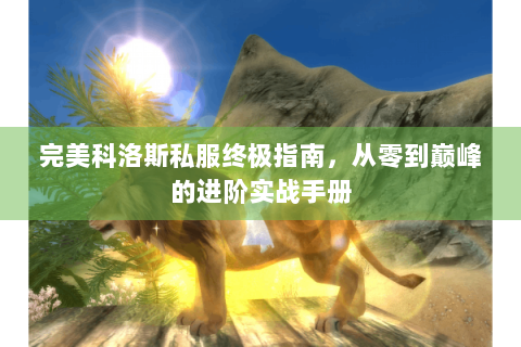 完美科洛斯私服终极指南，从零到巅峰的进阶实战手册