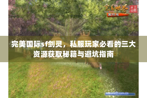 完美国际sf剑灵，私服玩家必看的三大资源获取秘籍与避坑指南