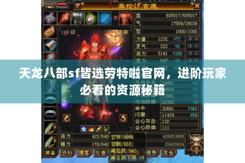 天龙八部sf皆选劳特啦官网，进阶玩家必看的资源秘籍