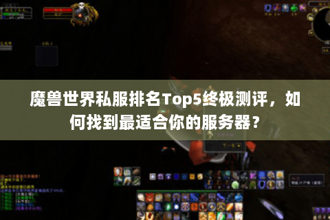 魔兽世界私服排名Top5终极测评，如何找到最适合你的服务器？