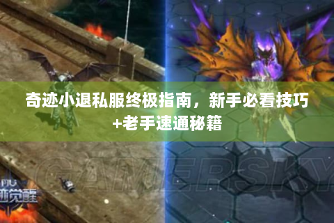 奇迹小退私服终极指南，新手必看技巧+老手速通秘籍